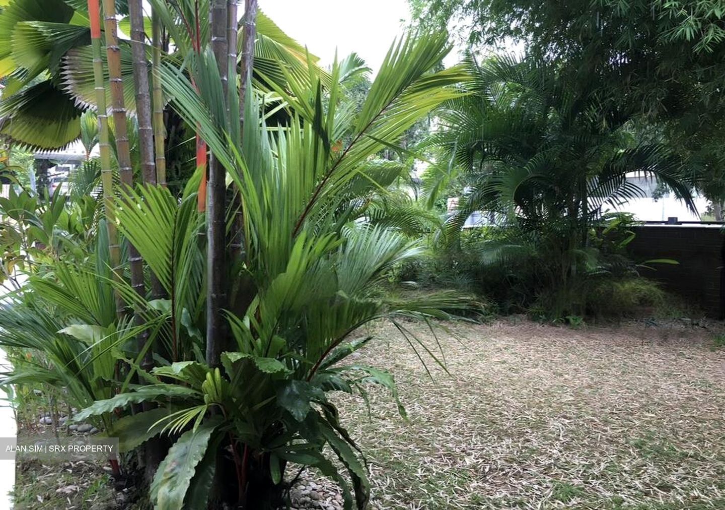 Bukit Sedap Road (D10), Semi-Detached #461215551